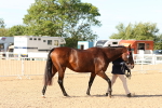 SBM_17642