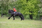 WJ6_1657