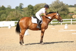 SBM_010260