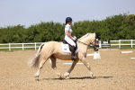 SBM_009067