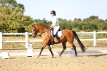 SBM_007777