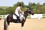 SBM_008615