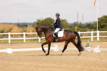 SBM_000333