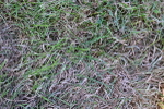 SBM_18257