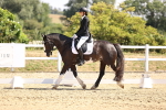 SBM_003648