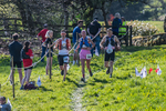 The Finish-2096