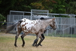 WJ6_8518