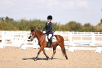 SBM_03513