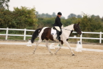 SBM_01795