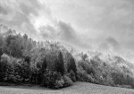 Slovenia iPhone - 163
