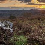Landscape-048