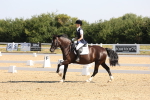 SBM_002946