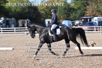 BPP_8922