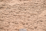 260829B-102602-02147