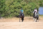 WJ6_8466