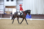 SBM_001912