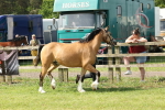 SBM_02205