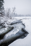 Winter Thaw