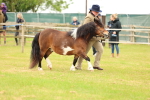 SBM_04363