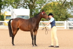 SBM_10183