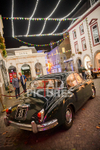RETRO FESTIVAL 2020_THE FLOWER MARKET SCENE portfolio