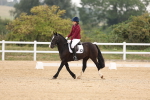 Class 3 - Intro C Champs portfolio