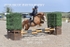BPP_7965
