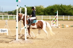 SBM_006468