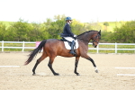 SBM_000383