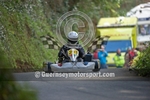 PB_Kart_2010-21