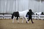 SBM_5340