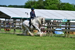 SBM_09388