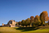 Chateau Fenelon Trees