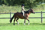 SBM_54026
