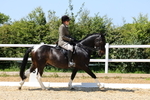 Class 11: Ridden Cob portfolio