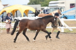SBM_08504