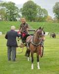 Attelage -1023