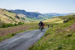 142146