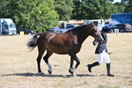 WJ6_8634