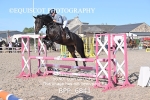 BPP_6841