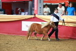 SBM_18440