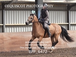 BPP_6472