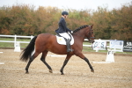 SBM_001642