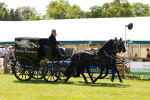 SBM_06629