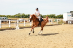 SBM_002996