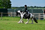 SBM_09323