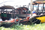 VIET_0215