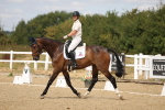 SBM_009664
