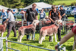 Loweswater Show-29