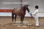 BPP_2866